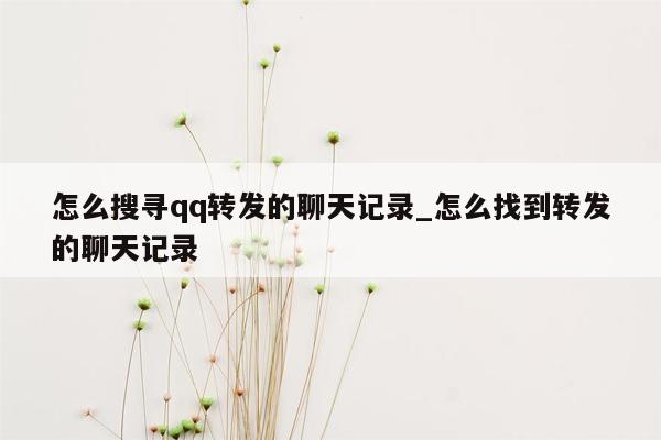 怎么搜寻qq转发的聊天记录_怎么找到转发的聊天记录