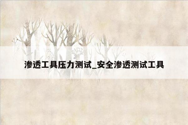 渗透工具压力测试_安全渗透测试工具