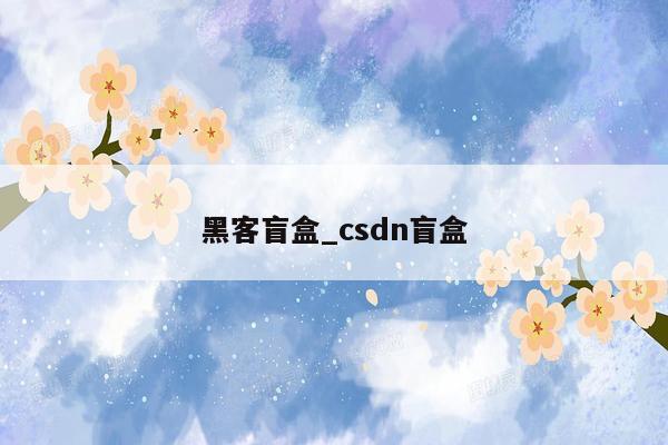 黑客盲盒_csdn盲盒