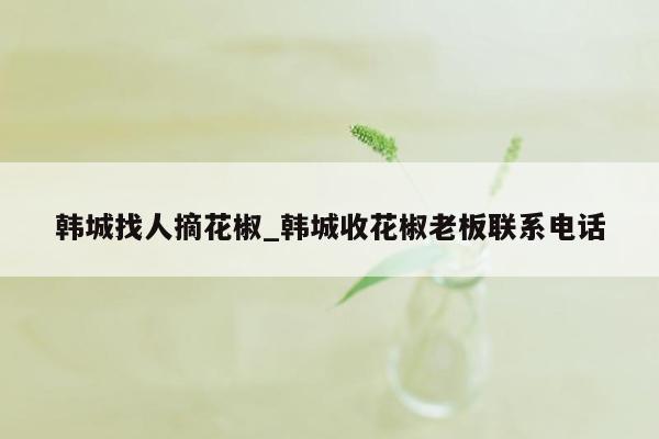 韩城找人摘花椒_韩城收花椒老板联系电话