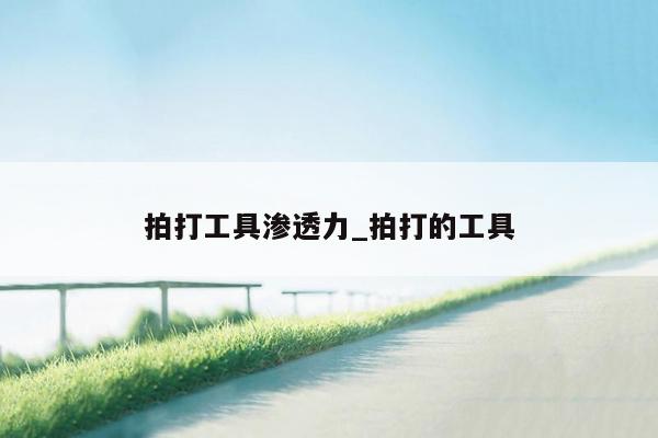 拍打工具渗透力_拍打的工具