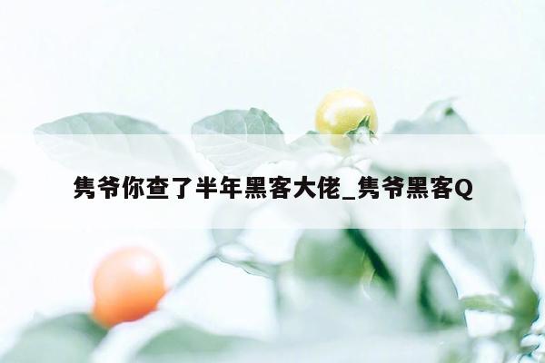 隽爷你查了半年黑客大佬_隽爷黑客Q