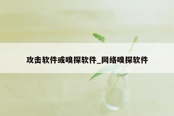 攻击软件或嗅探软件_网络嗅探软件