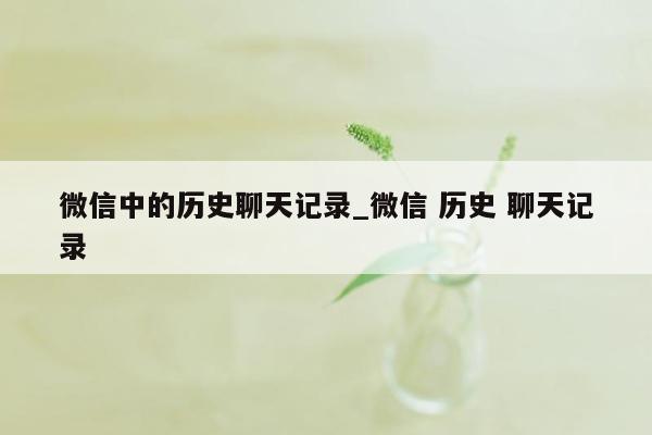 微信中的历史聊天记录_微信 历史 聊天记录