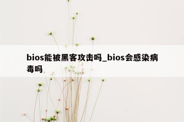 bios能被黑客攻击吗_bios会感染病毒吗
