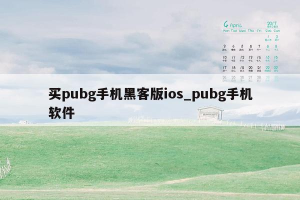 买pubg手机黑客版ios_pubg手机软件