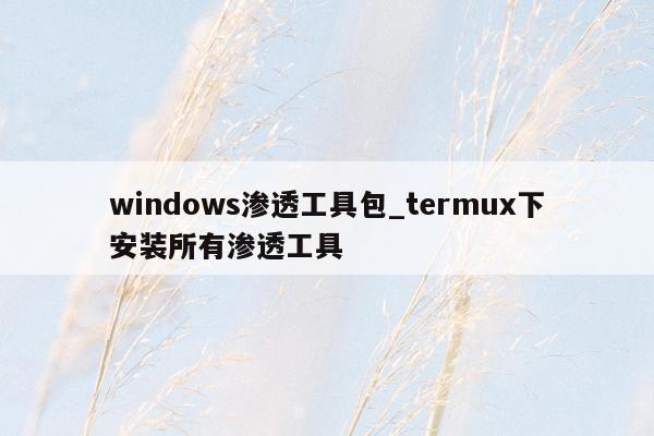 windows渗透工具包_termux下安装所有渗透工具