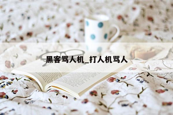 黑客骂人机_打人机骂人