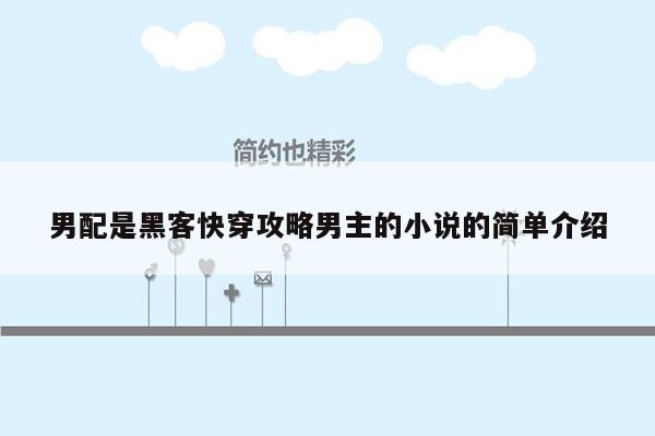 男配是黑客快穿攻略男主的小说的简单介绍