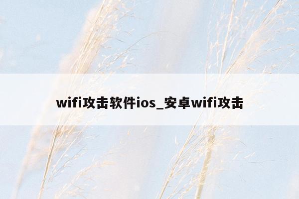 wifi攻击软件ios_安卓wifi攻击