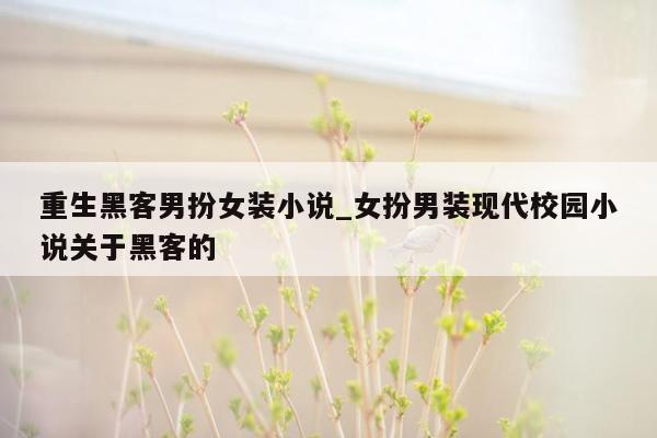 重生黑客男扮女装小说_女扮男装现代校园小说关于黑客的