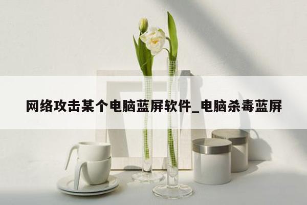 网络攻击某个电脑蓝屏软件_电脑杀毒蓝屏