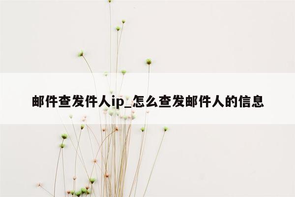 邮件查发件人ip_怎么查发邮件人的信息