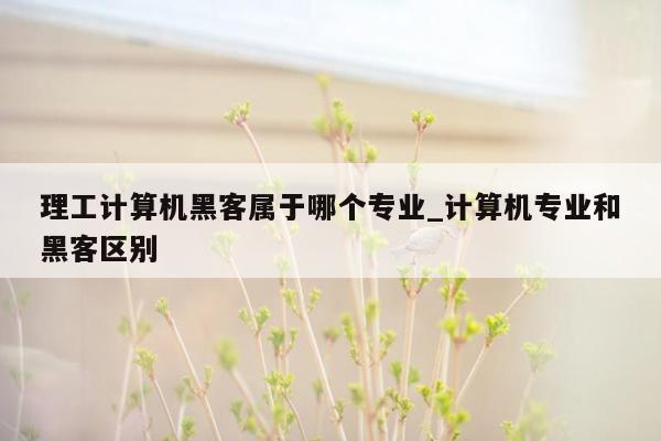 理工计算机黑客属于哪个专业_计算机专业和黑客区别