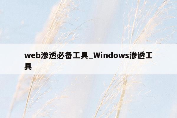 web渗透必备工具_Windows渗透工具