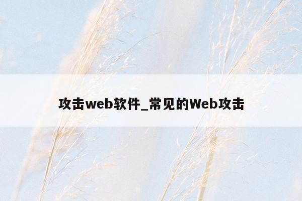 攻击web软件_常见的Web攻击