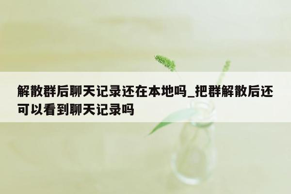 解散群后聊天记录还在本地吗_把群解散后还可以看到聊天记录吗