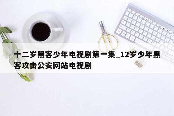 十二岁黑客少年电视剧第一集_12岁少年黑客攻击公安网站电视剧
