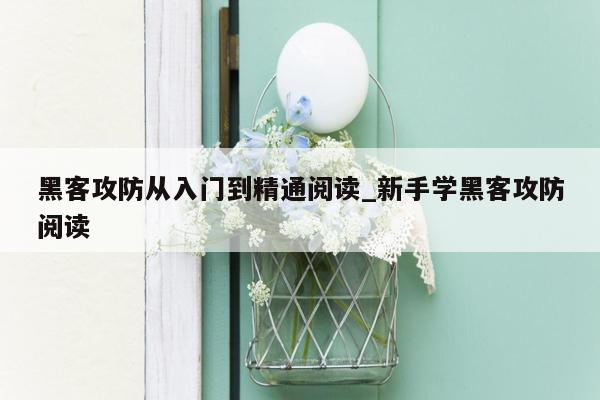 黑客攻防从入门到精通阅读_新手学黑客攻防阅读
