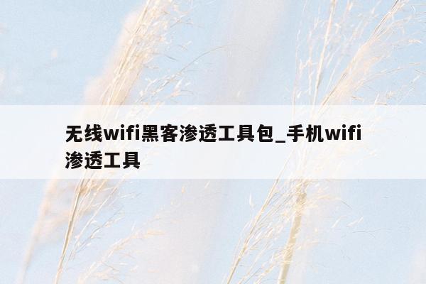 无线wifi黑客渗透工具包_手机wifi渗透工具