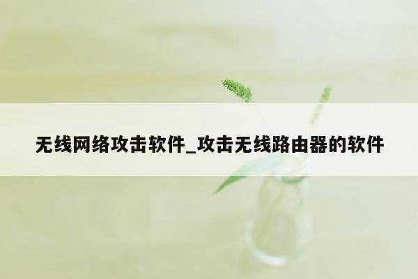 无线网络攻击软件_攻击无线路由器的软件