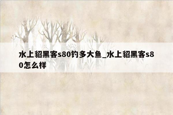 水上貂黑客s80钓多大鱼_水上貂黑客s80怎么样
