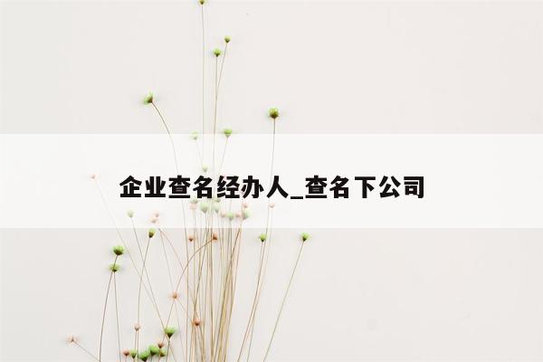 企业查名经办人_查名下公司