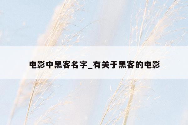 电影中黑客名字_有关于黑客的电影