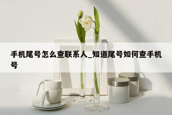 手机尾号怎么查联系人_知道尾号如何查手机号