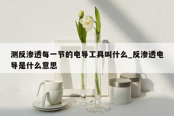 测反渗透每一节的电导工具叫什么_反渗透电导是什么意思