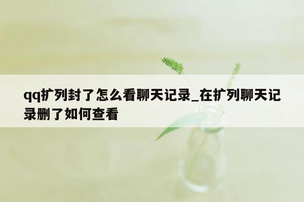 qq扩列封了怎么看聊天记录_在扩列聊天记录删了如何查看