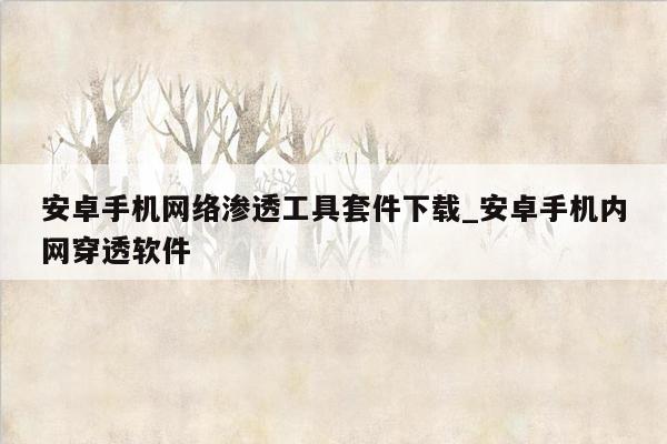 安卓手机网络渗透工具套件下载_安卓手机内网穿透软件