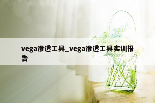 vega渗透工具_vega渗透工具实训报告