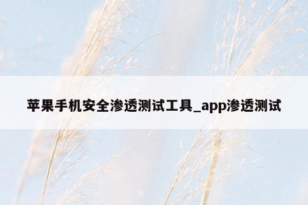 苹果手机安全渗透测试工具_app渗透测试