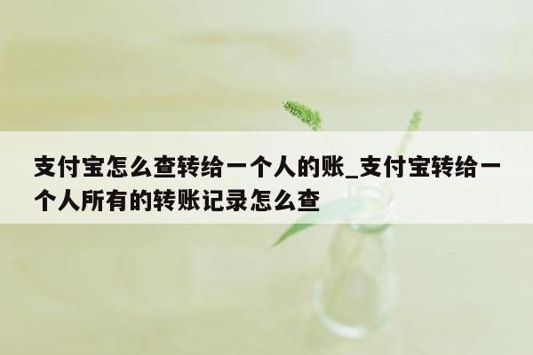 支付宝怎么查转给一个人的账_支付宝转给一个人所有的转账记录怎么查