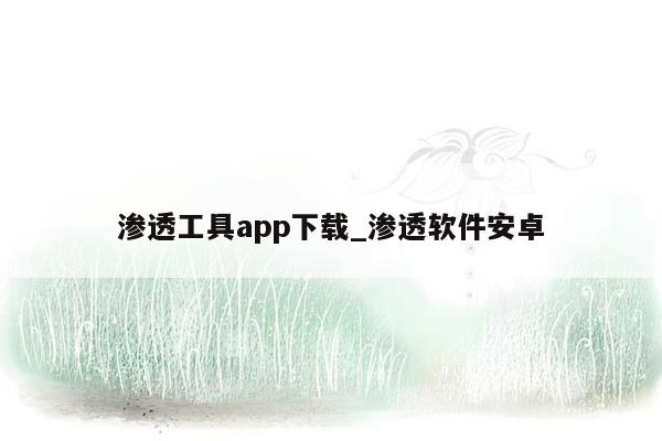 渗透工具app下载_渗透软件安卓