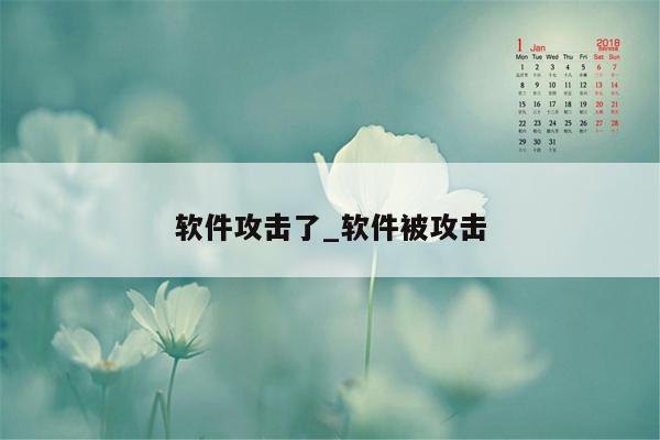 软件攻击了_软件被攻击