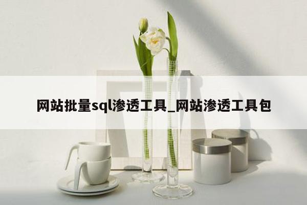 网站批量sql渗透工具_网站渗透工具包