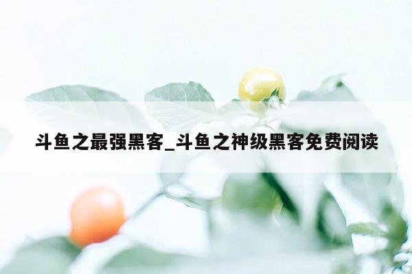 斗鱼之最强黑客_斗鱼之神级黑客免费阅读