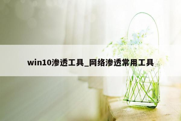 win10渗透工具_网络渗透常用工具