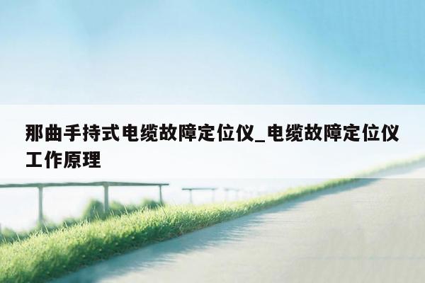 那曲手持式电缆故障定位仪_电缆故障定位仪工作原理