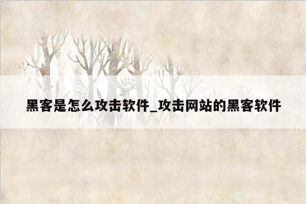 黑客是怎么攻击软件_攻击网站的黑客软件