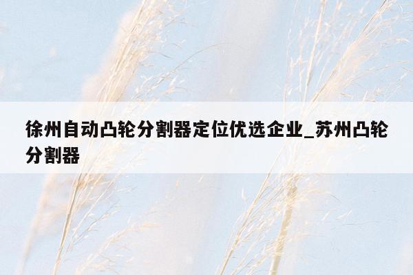 徐州自动凸轮分割器定位优选企业_苏州凸轮分割器