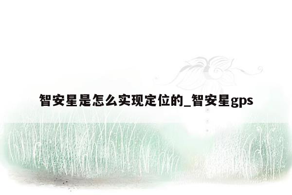 智安星是怎么实现定位的_智安星gps