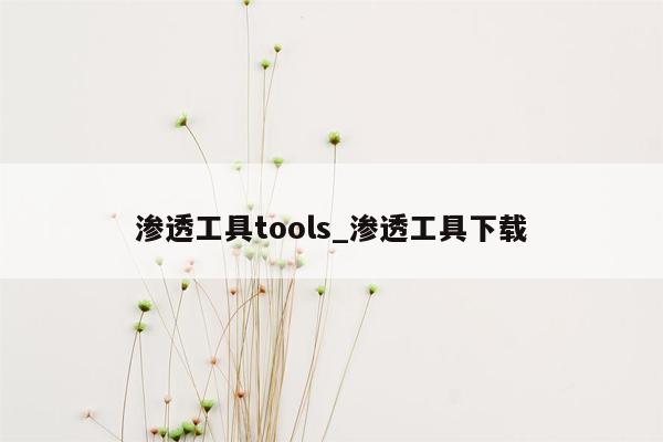 渗透工具tools_渗透工具下载