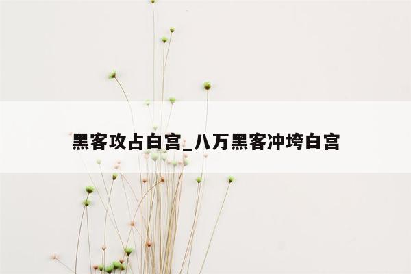 黑客攻占白宫_八万黑客冲垮白宫