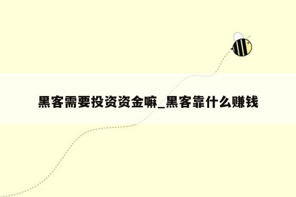 黑客需要投资资金嘛_黑客靠什么赚钱