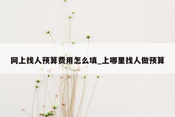 网上找人预算费用怎么填_上哪里找人做预算