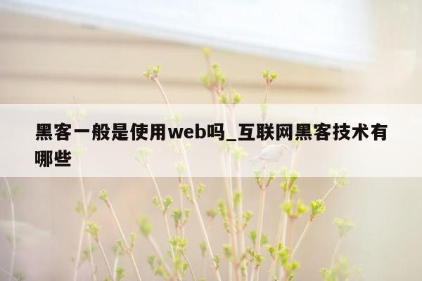 黑客一般是使用web吗_互联网黑客技术有哪些