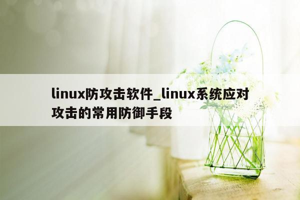 linux防攻击软件_linux系统应对攻击的常用防御手段